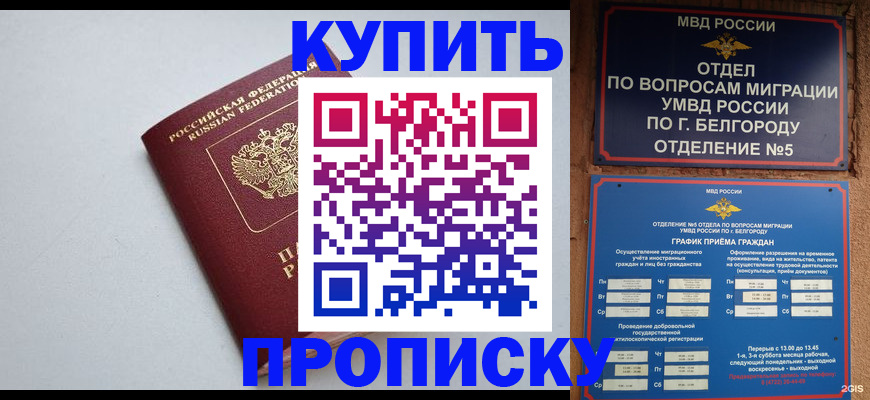 прописка регистрация в Химках